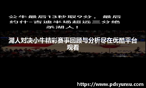湖人对决小牛精彩赛事回顾与分析尽在优酷平台观看