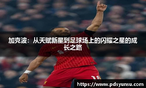 加克波：从天赋新星到足球场上的闪耀之星的成长之路