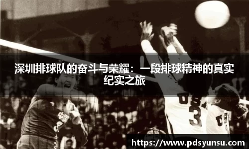 深圳排球队的奋斗与荣耀：一段排球精神的真实纪实之旅