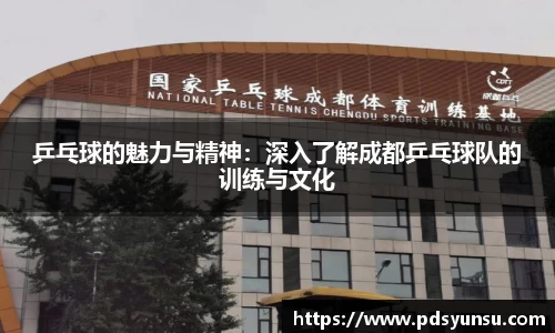 乒乓球的魅力与精神：深入了解成都乒乓球队的训练与文化