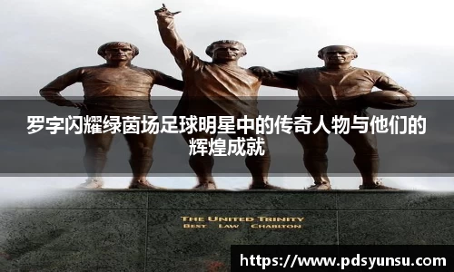 罗字闪耀绿茵场足球明星中的传奇人物与他们的辉煌成就