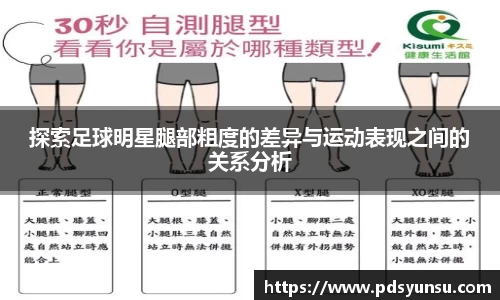 探索足球明星腿部粗度的差异与运动表现之间的关系分析